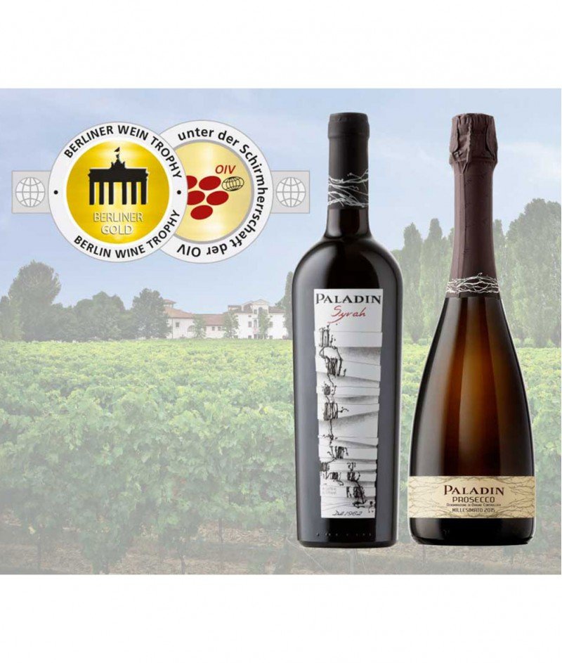 Syrah Paladin 2020, 750ml – Casa Paladin 1962 – Сира Паладин - Червено, Полусухо Негазирано Вино